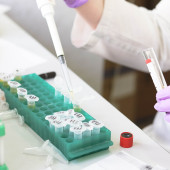 females still an afterthought in research