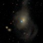 white dwarf supernova