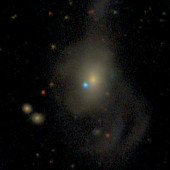 white dwarf supernova