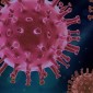 COVID-19-related health projects
