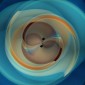 gravitational waves black hole simulation