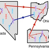 election forecast volkening