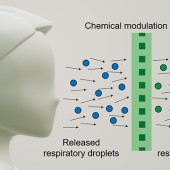 Huang face mask