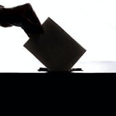 miller election forecast