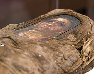 The 1,900-year-old mummy.