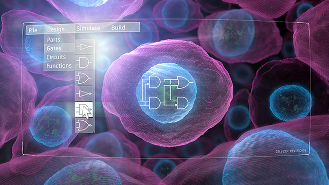 cellular engineering cellular engineering