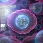 cellular engineering