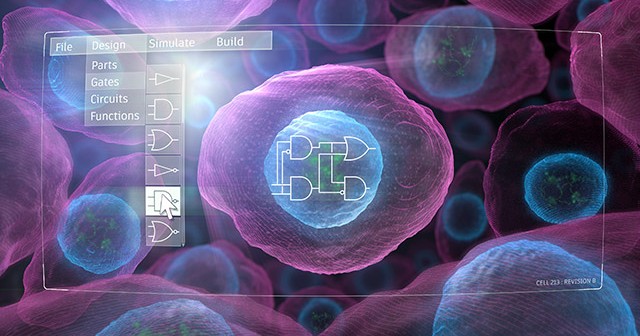 New technology enables predictive design of engineered human cells ...