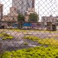 fenced urban lot with graffiti