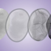 selective membrane melanin