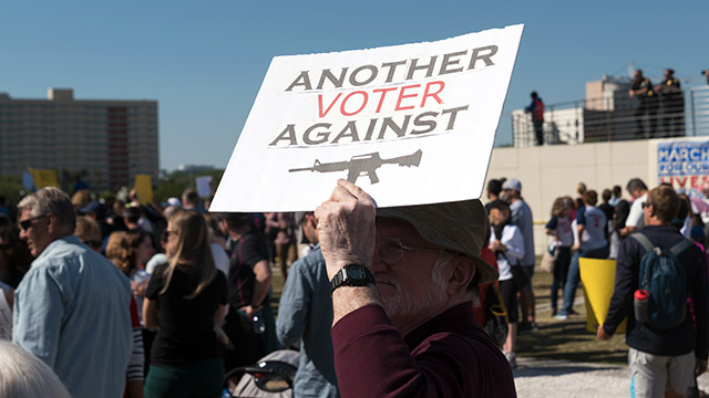 assault weapons ban assault weapons ban