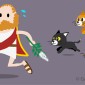catnip insect repellent