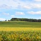 Illinois climate