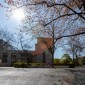 covid-19