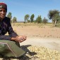 sustainable food