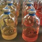 Mock gut communities exposed to chemotherapy
