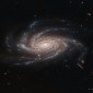 fast radio burst