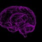 memory helps evaluate situations on the fly