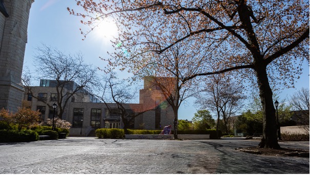Sun shining on Northwestern University's Evanston campus