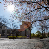 Sun shining on Northwestern University's Evanston campus