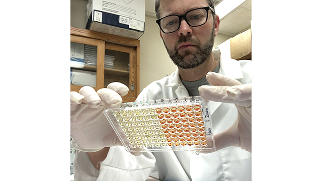 Biological anthropologist Thomas McDade in his lab. 