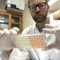 Biological anthropologist Thomas McDade in his lab. 