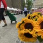streeterville farmers market