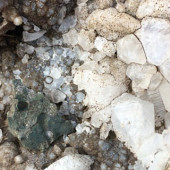 zeolites