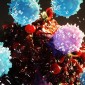 cell therapy nanotechnology