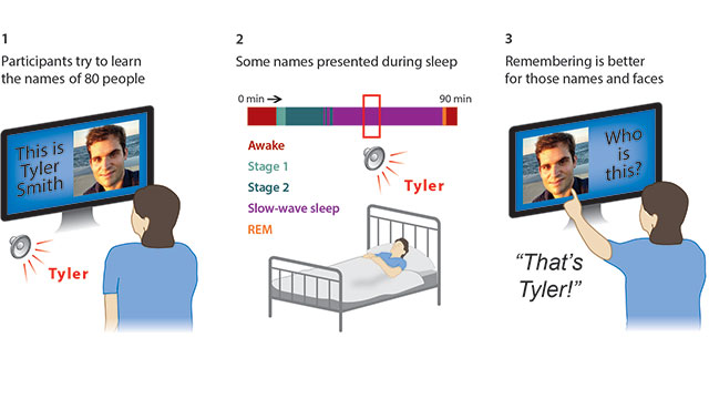 Illustration of the 3 stages of the face-name learning experiment