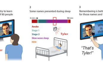 Illustration of the 3 stages of the face-name learning experiment