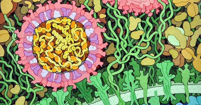 horvath640__FocusFillMaxWyIwLj