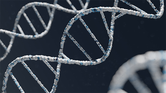 unusual dna structures unusual dna structures