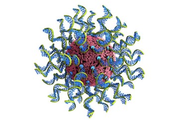 Nanoparticle-based COVID-19 vaccine could target future infectious diseases