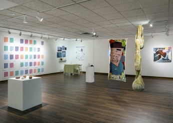 installation view of the senior art student exhibition at the Dittmar Gallery