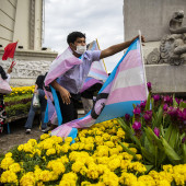 transgender studies
