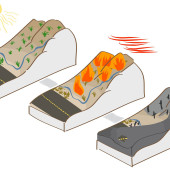 debris flow landslide