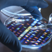 genetic test