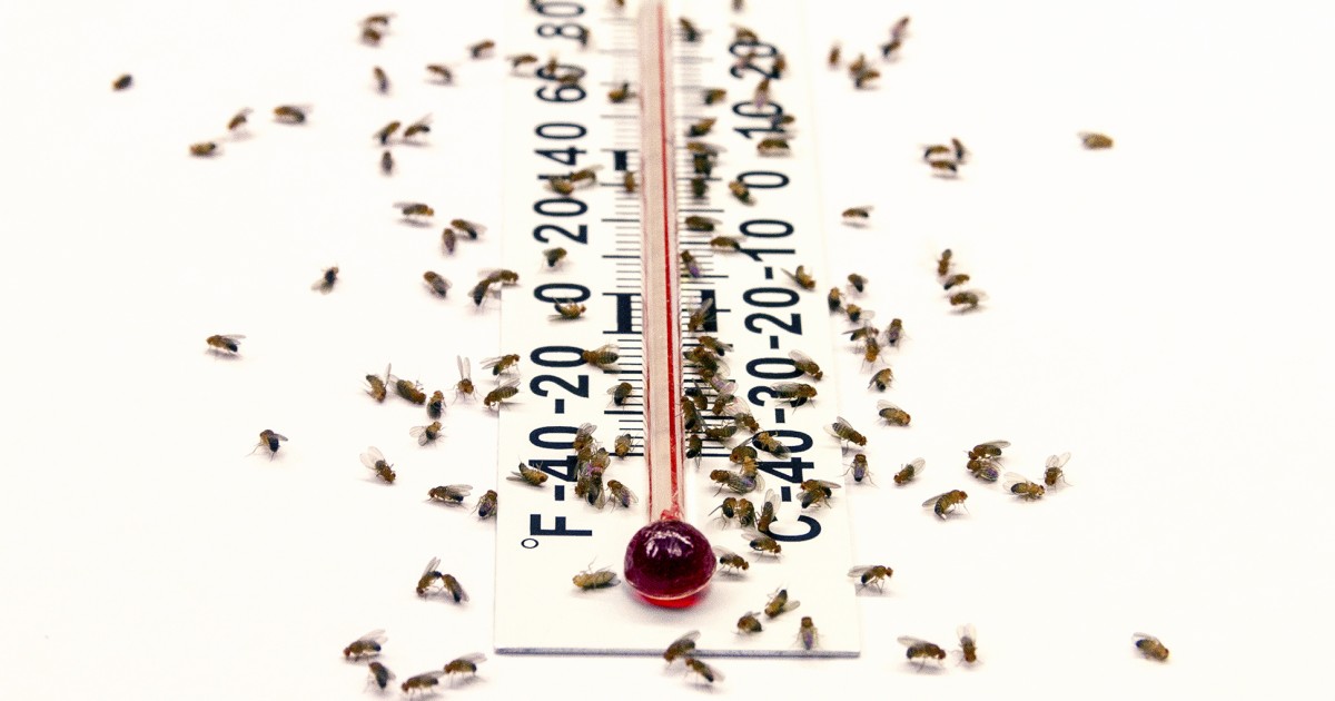 Why does heat makes us sleepy? Northwestern Now