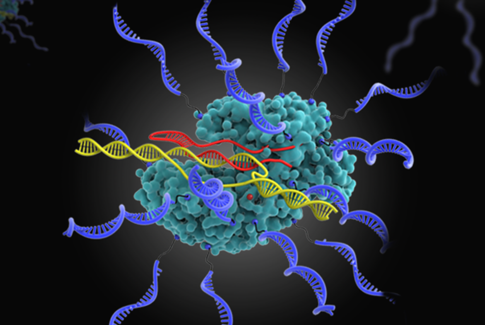 New nanoparticles can perform gene editing in the lungs