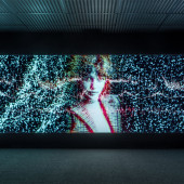 Projected images of the galaxy, a human heartbeat and a young woman