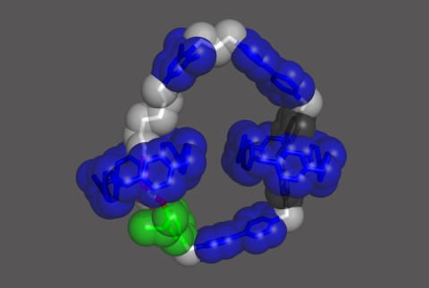 Now on the molecular scale: electric motors