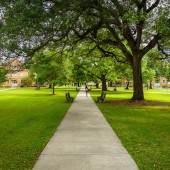 campus sexual assaults