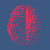 IQ test scores