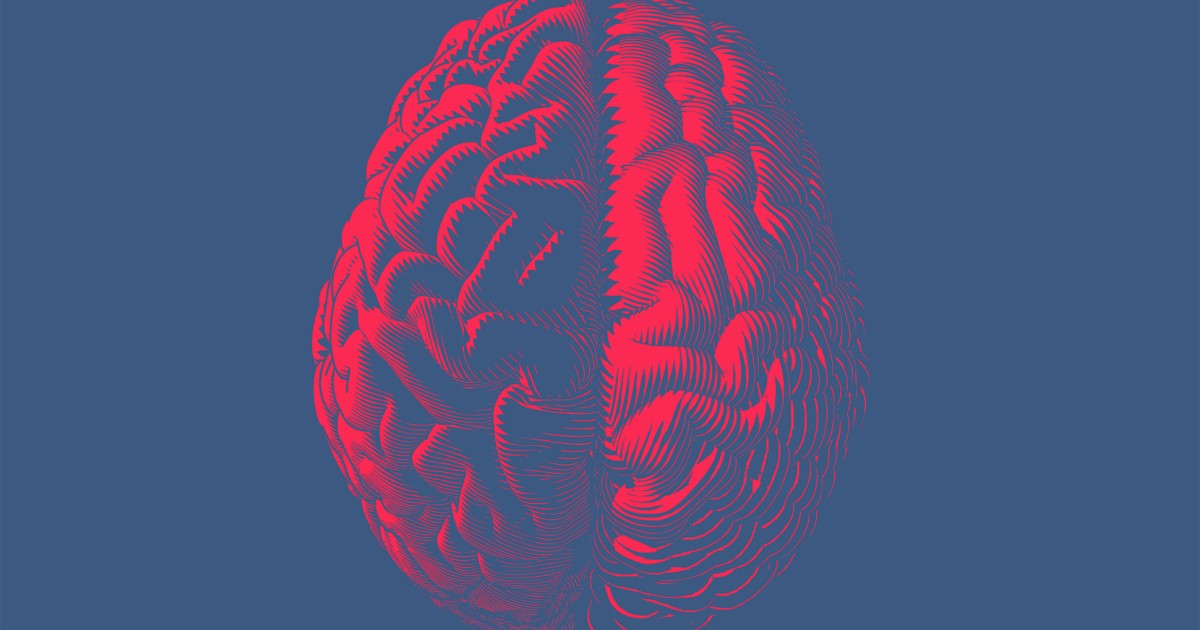 What Is the Average IQ? By Country, State, Gender & More