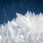 snowflake crystals
