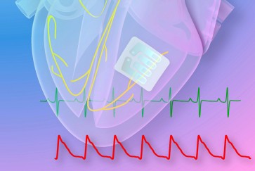 graphene heart tattoo