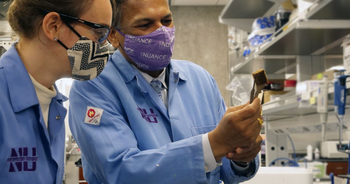 Metal-filtering sponge removes lead from waterNorthwestern University engineers have developed a new sponge that can remove metals — including...