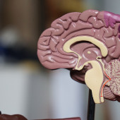 Parkinson's disease experts available