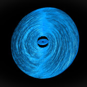 Black hole accretion disk